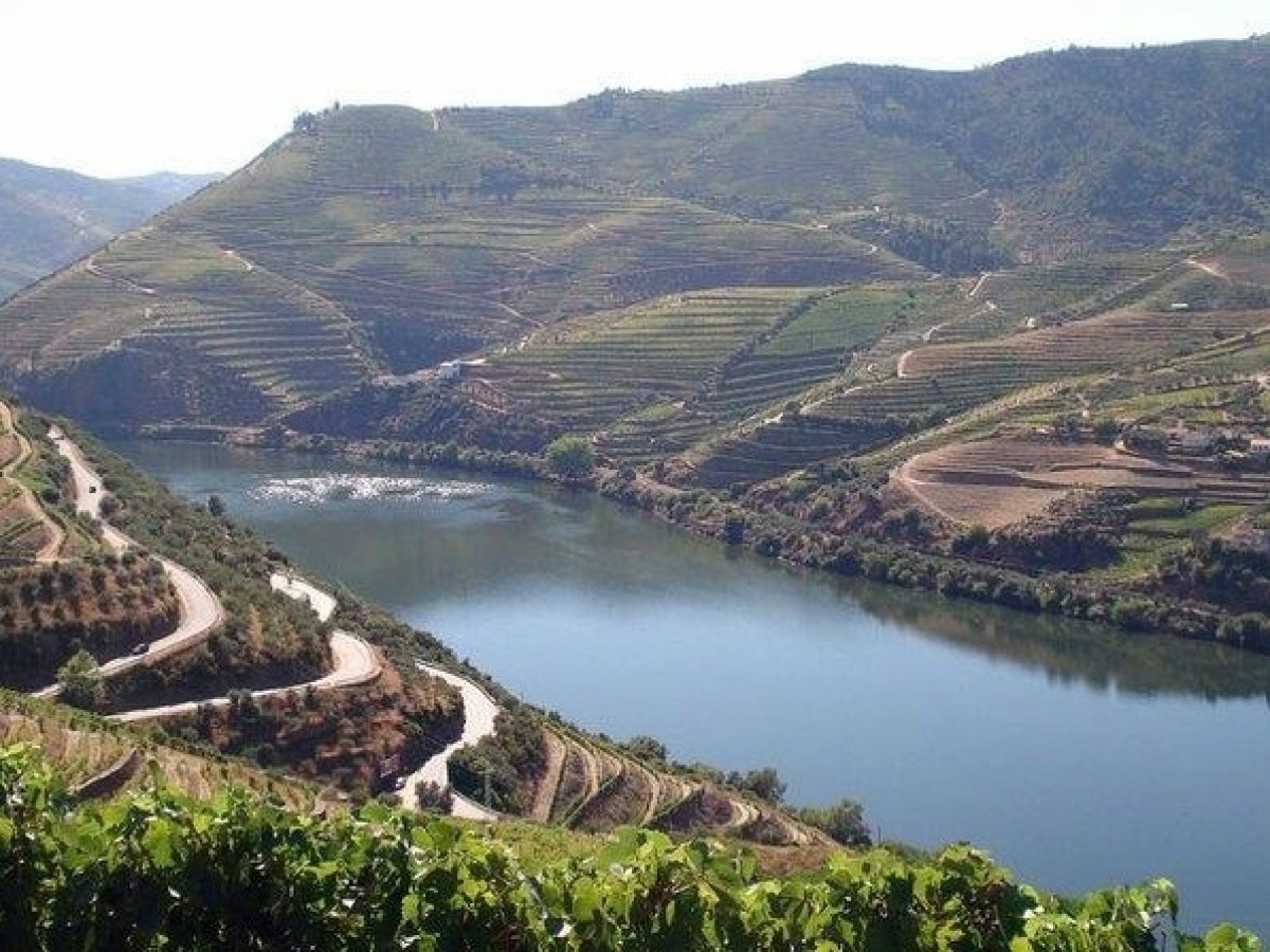 Expansive view of Douro Valley with terraced vineyards on rolling hills, a meandering river, and distant mountains under a clear blue sky.
