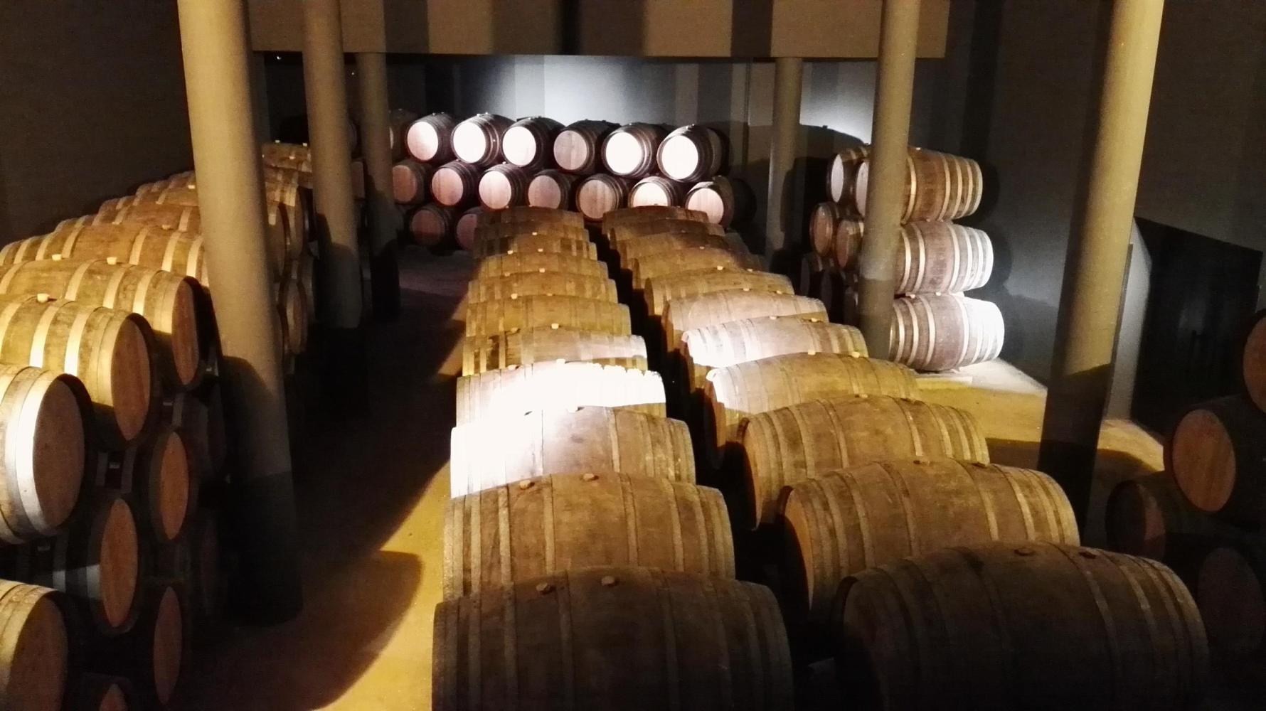 A spacious room filled with stacked barrels, showcasing the rich tradition of Douro port wine production.