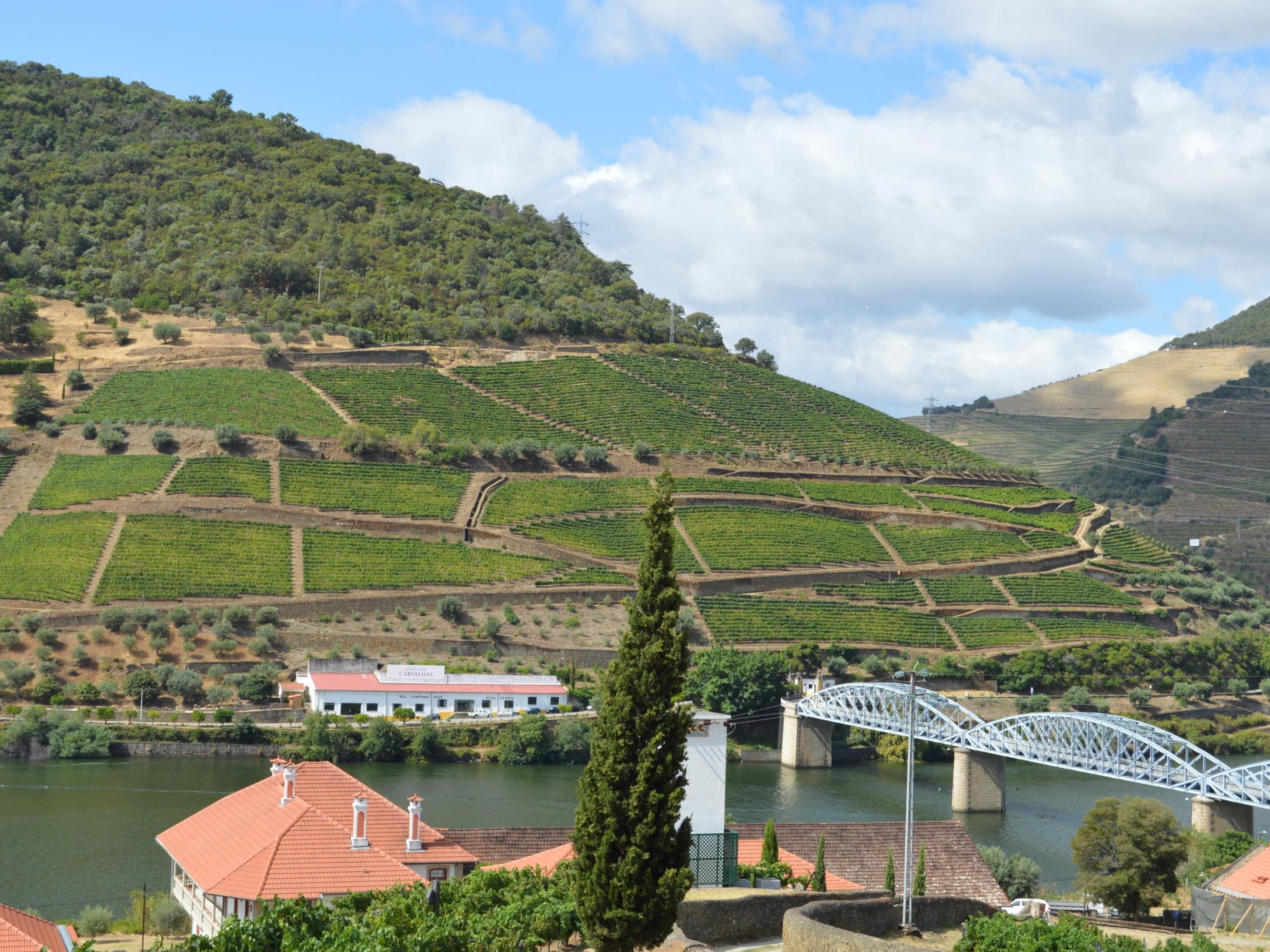 Scenic view of the Douro River with a picturesque bridge, surrounded by lush greenery along the hiking trail.