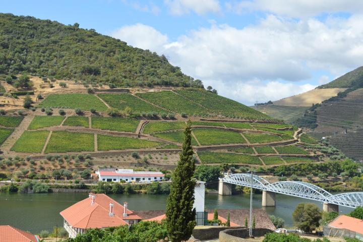 Scenic view of the Douro River with a picturesque bridge, surrounded by lush greenery along the hiking trail.