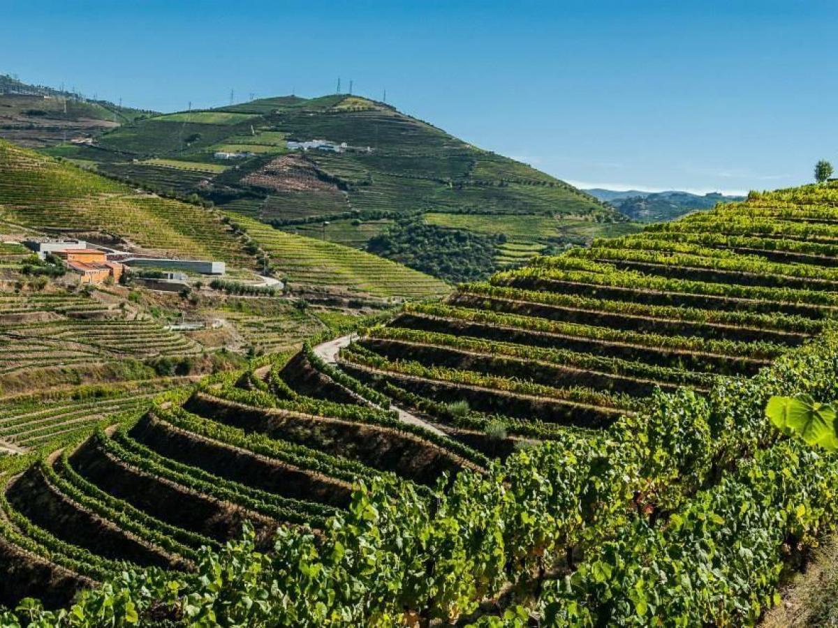 A picturesque valley in the Douro region, showcasing a river and a handful of houses amid stunning natural scenery.