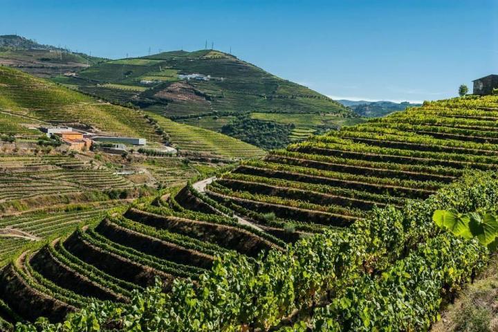 A picturesque valley in the Douro region, showcasing a river and a handful of houses amid stunning natural scenery.
