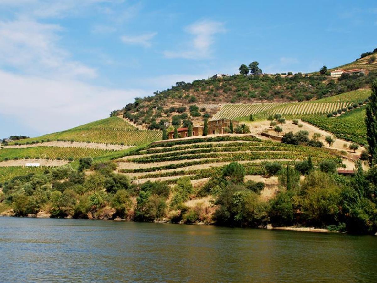 Scenic view of the Douro Valley featuring a winding river and charming houses nestled in the lush landscape.