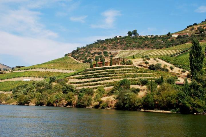 Scenic view of the Douro Valley featuring a winding river and charming houses nestled in the lush landscape.