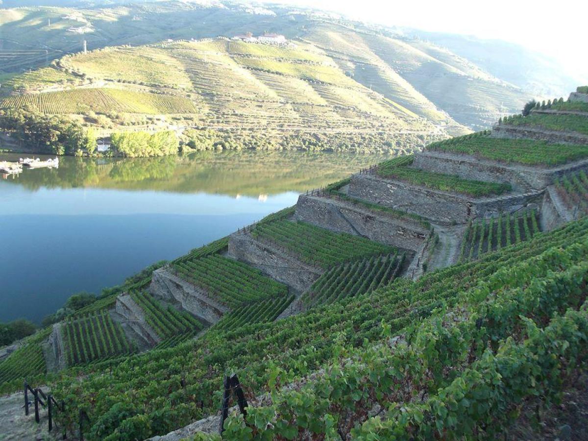 Beautiful Douro Valley landscape with a river flowing through, surrounded by a few quaint houses and rolling hills.