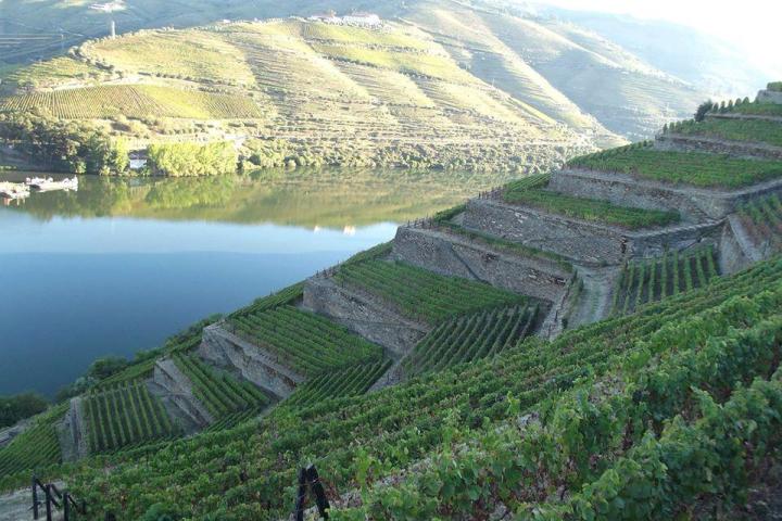 Beautiful Douro Valley landscape with a river flowing through, surrounded by a few quaint houses and rolling hills.