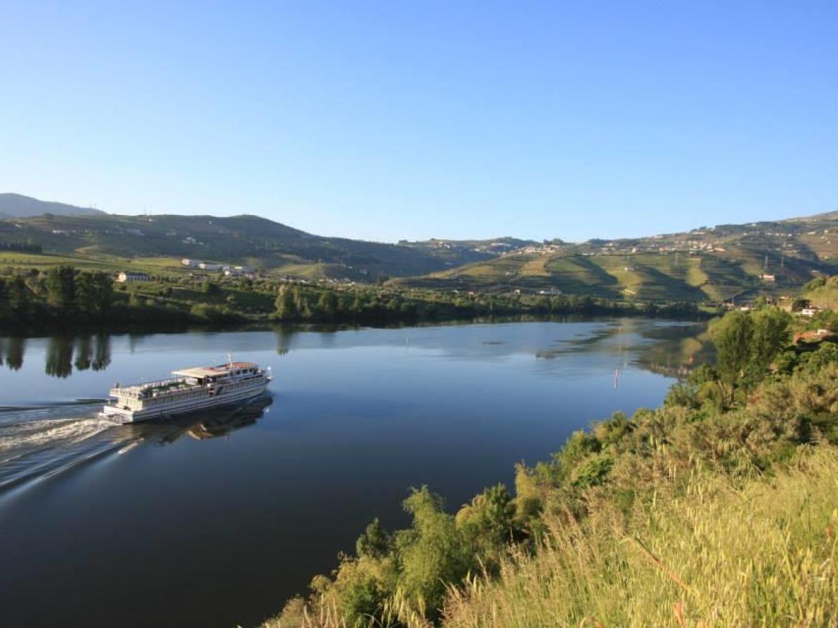 A picturesque valley in the Douro region, with a serene river and a few cozy houses surrounded by vibrant nature.