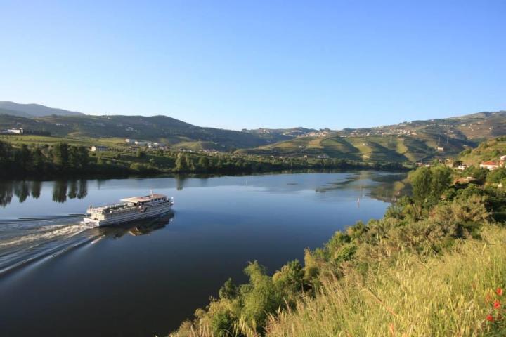A picturesque valley in the Douro region, with a serene river and a few cozy houses surrounded by vibrant nature.