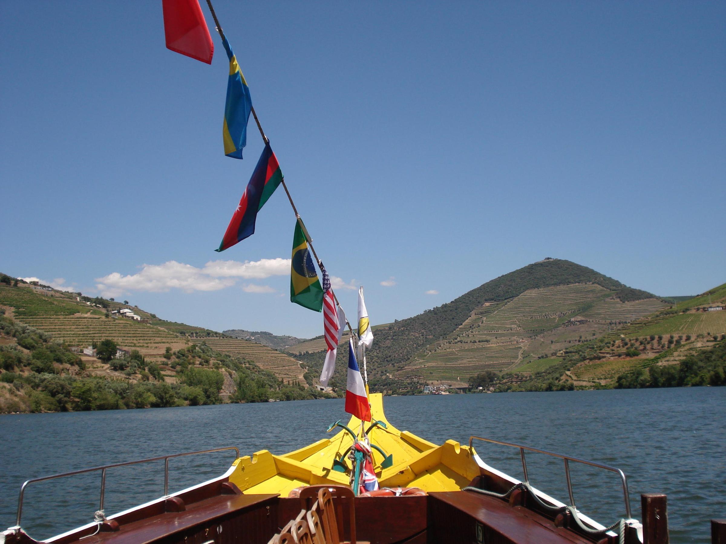 Beautiful Douro Valley landscape showcasing a river flowing through the valley with quaint houses dotting the scenery.