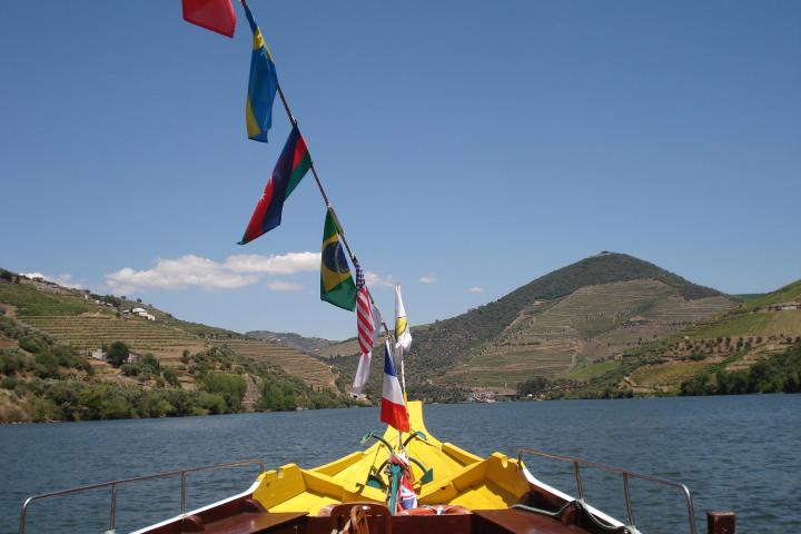 Beautiful Douro Valley landscape showcasing a river flowing through the valley with quaint houses dotting the scenery.