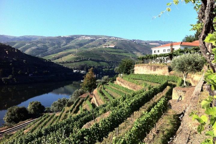 Scenic view of the Douro Valley featuring a winding river and charming houses nestled among lush greenery.