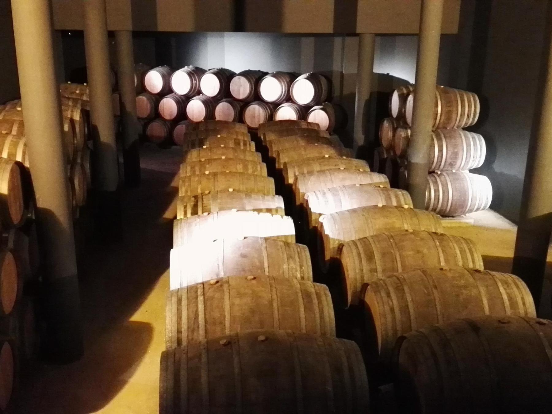 An expansive room featuring numerous barrels piled high, representing the heritage of Douro port wine aging.