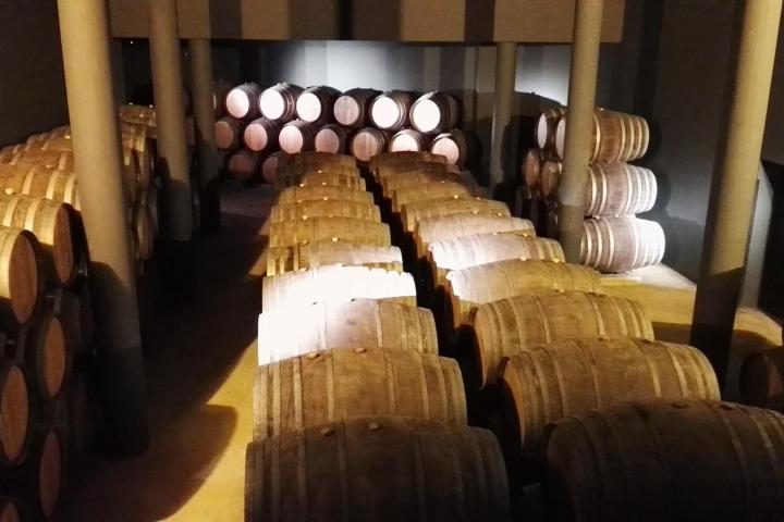 An expansive room featuring numerous barrels piled high, representing the heritage of Douro port wine aging.