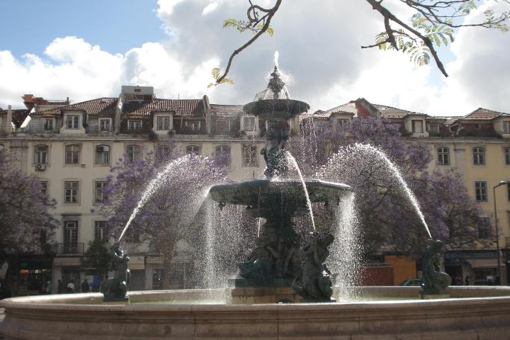 A beautiful fountain surrounded by jacaranda trees in Rossio Square, Lisbon, showcasing the city's vibrant atmosphere.