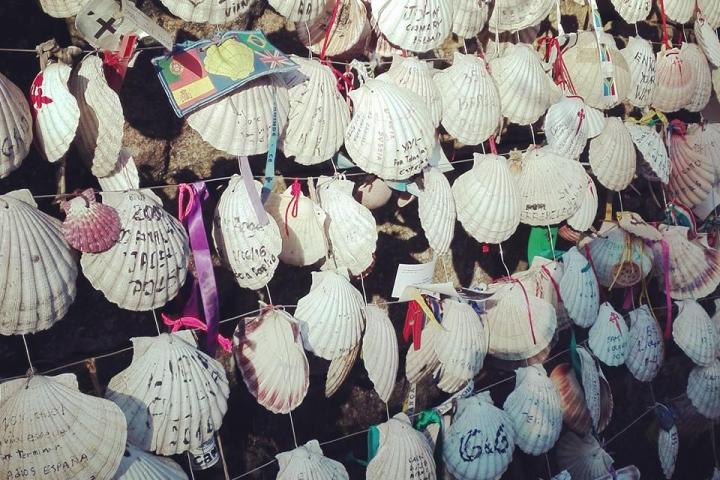 Self-Guided Camino de Santiago scallop
