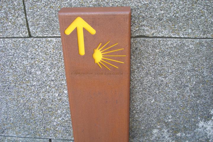 Guided Camino de Santiago