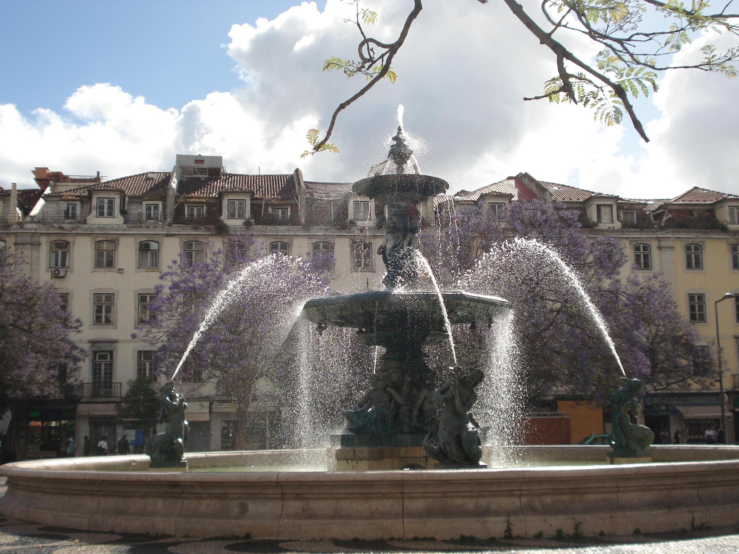 Lisbon Square with Jacaranda