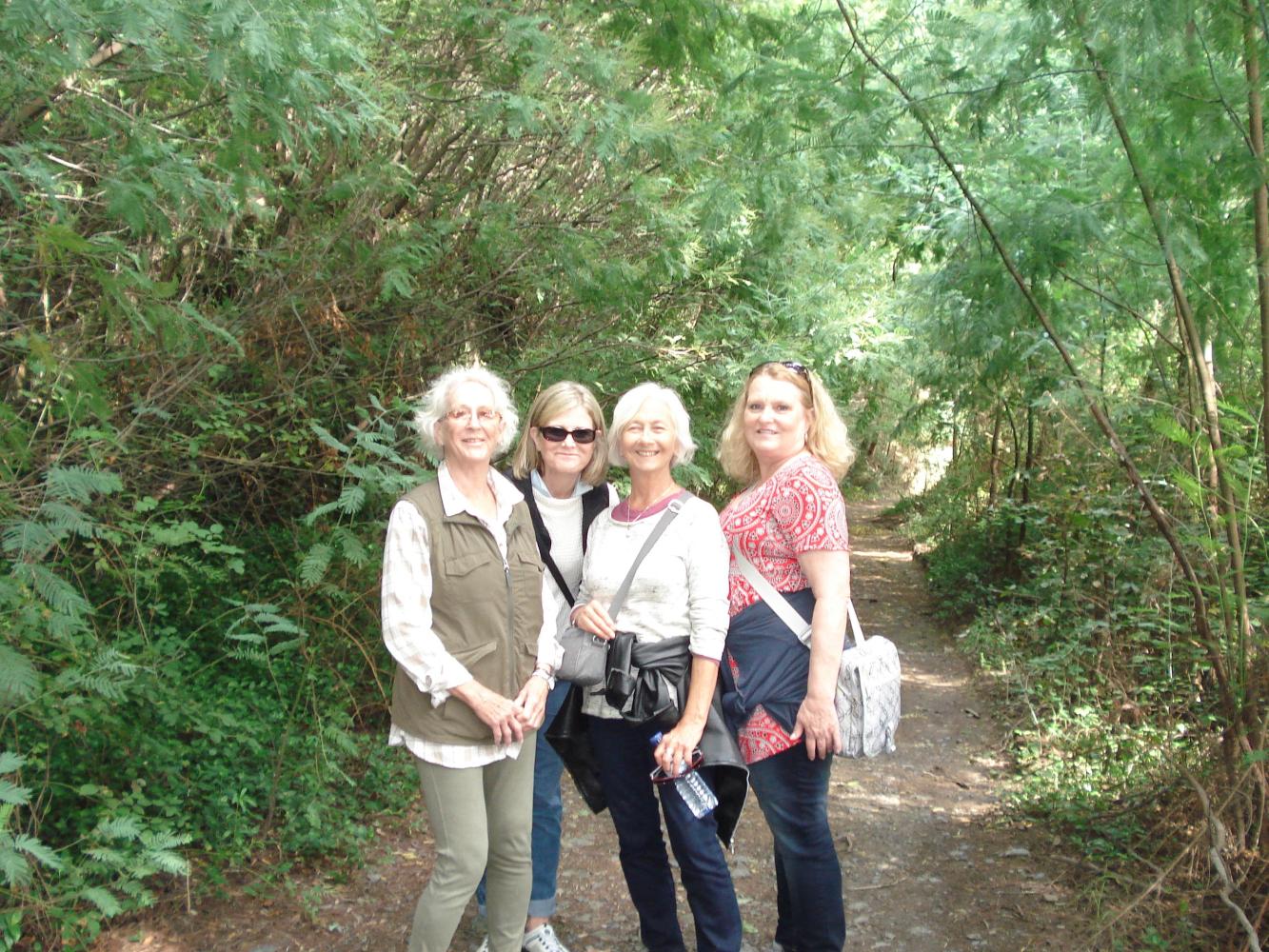 Four women hikers pause on a wooded trail, enjoying their outdoor adventure in nature's beauty.