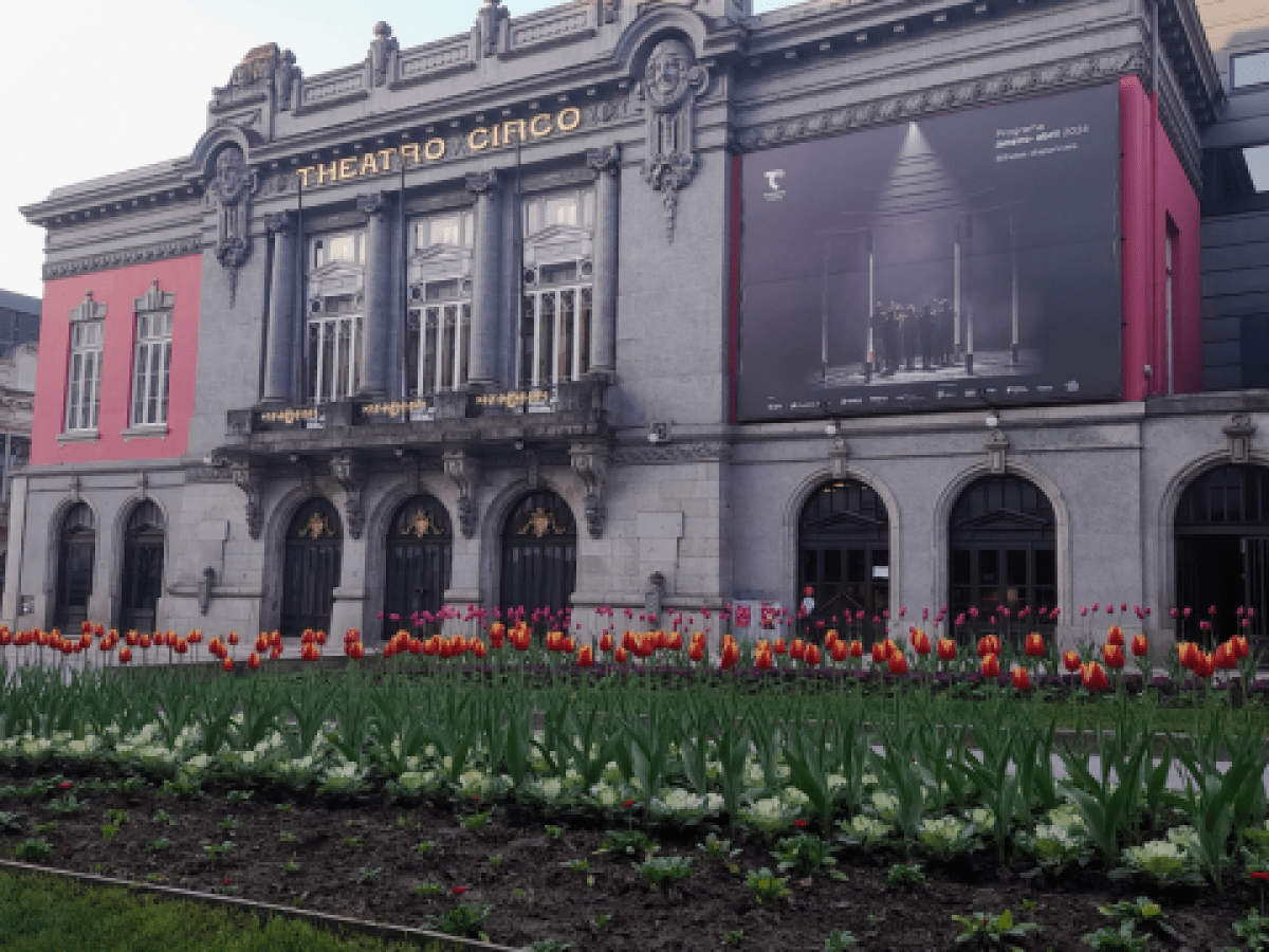 A vibrant flower field filled with tulips and other blooms, set against a charming building in Braga, perfect for sightseeing.