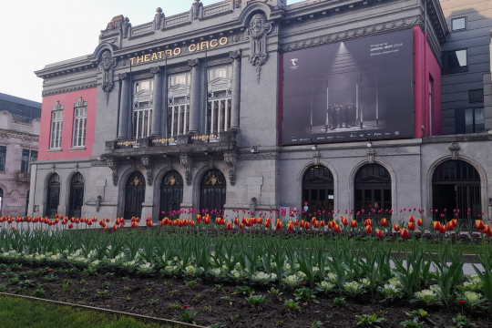 A vibrant flower field filled with tulips and other blooms, set against a charming building in Braga, perfect for sightseeing.