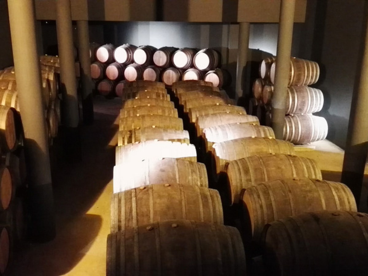 A picturesque view of stacked barrels in the Douro Valley, showcasing the region's rich winemaking heritage and landscape.