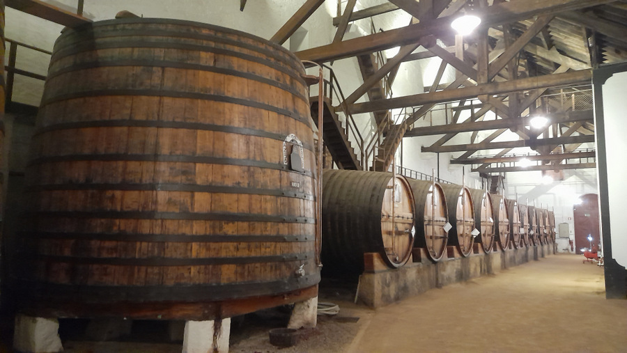 a barrel for port wine in the douro valley