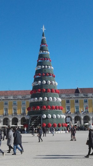 christmas tree in Portugal