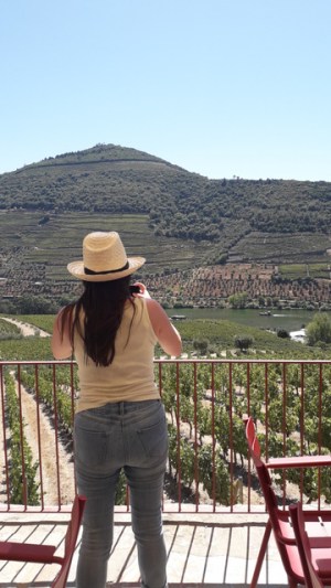 Self guided Wine Tour Porto to Douro