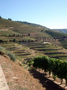 holidays to douro valley portugal