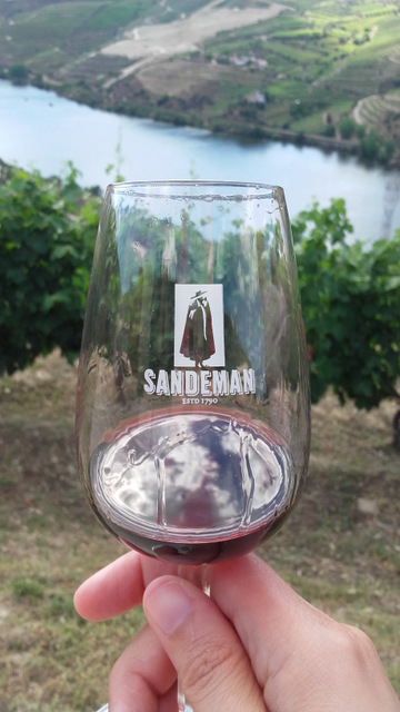 A person enjoys a wine glass while overlooking a scenic river view during a wine tasting tour in the Douro Valley.