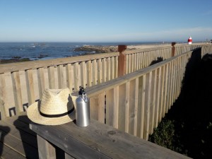 a close up of a fence overlooking a beach