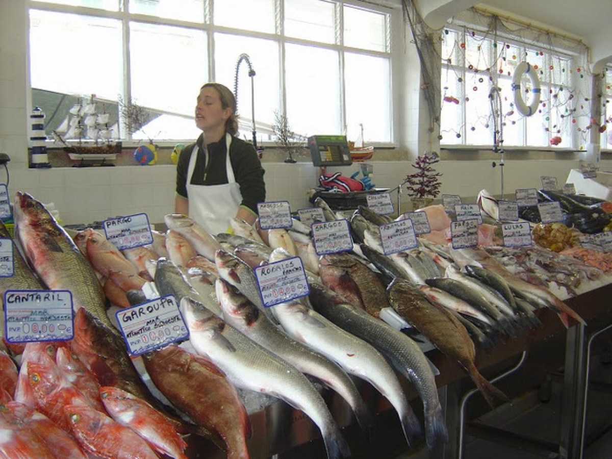 best fish to eat in Portugal