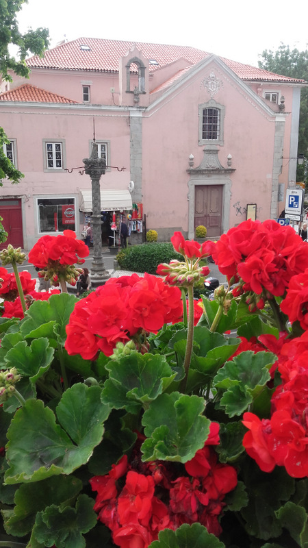A charming pink building in the Old Centre of Sintra, adorned with vibrant red flowers in the foreground.