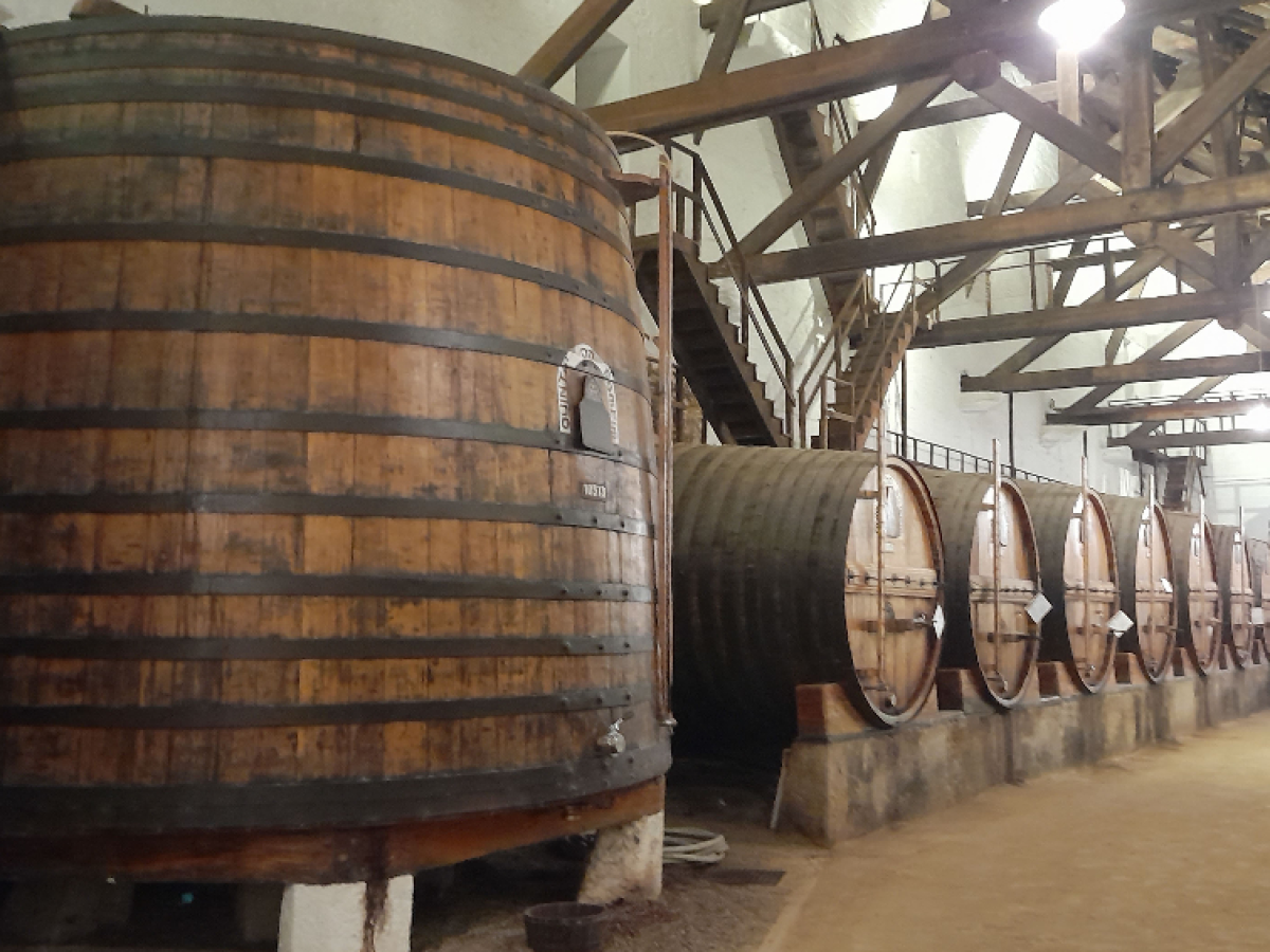 a barrel wine in the douro winery