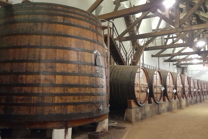 a barrel wine in the douro winery