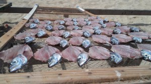 big wave surfing nazare portugal