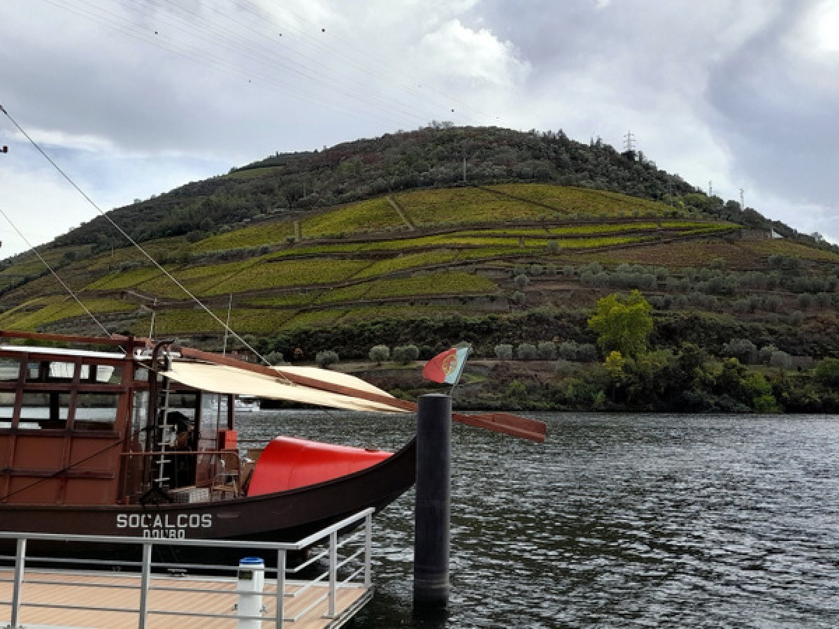 a small boat in the douro river cruise