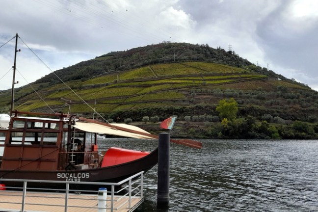 a small boat in the douro river cruise