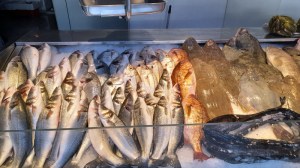 a group of fish in the market portugal