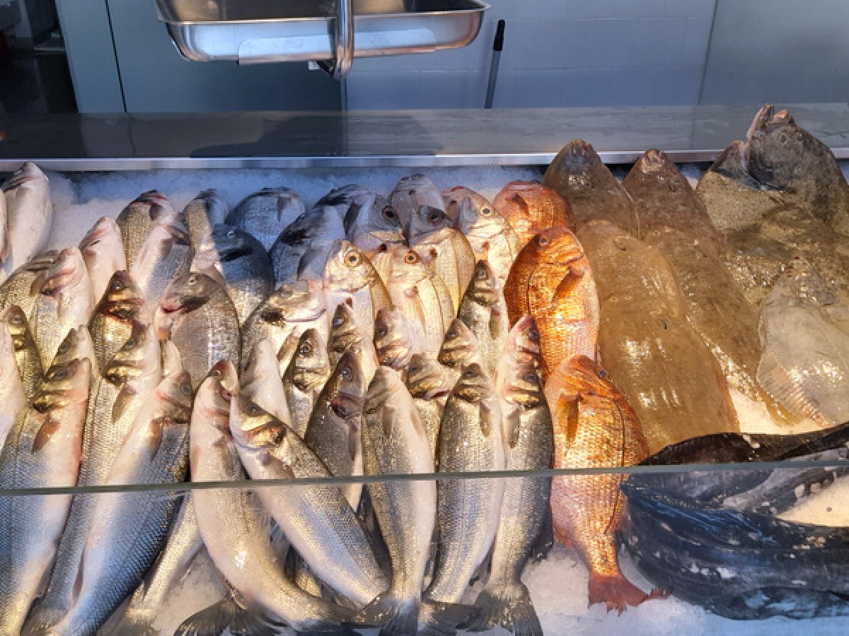A vibrant market display showcasing a variety of fresh fish during a food tour in Portugal's farm market.