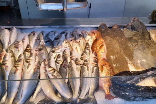 A vibrant market display showcasing a variety of fresh fish during a food tour in Portugal's farm market.