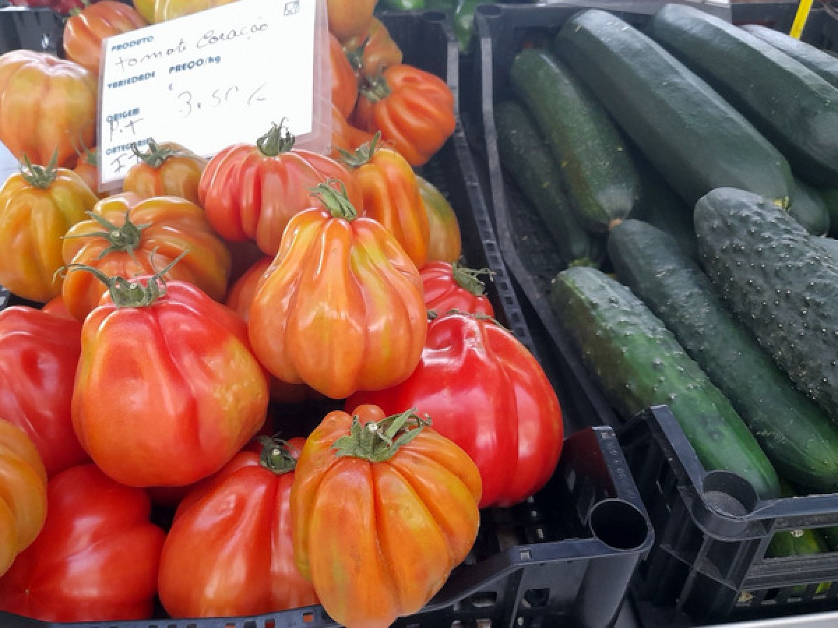 boxes with tomatoes and cucumber on display farm market in Portugal