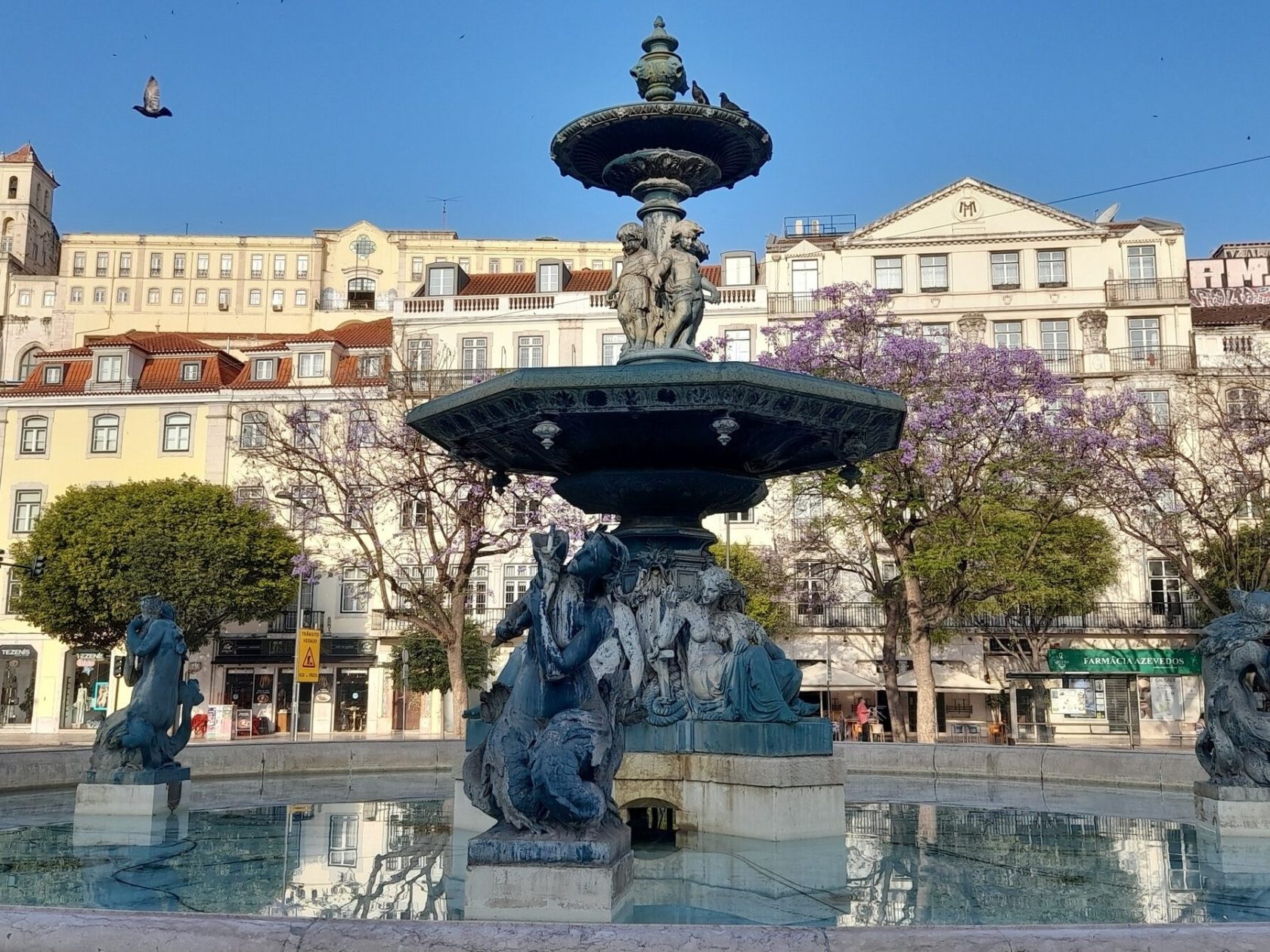 jacaranda and fountain, part of a self-guided walking tour in Lisbon.