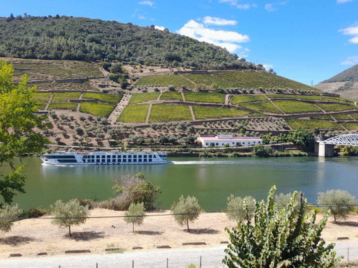 Scenic view of the Douro River with a bridge spanning a lush valley, featuring a cruiser gliding along the water's surface.