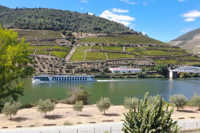 Scenic view of the Douro River with a bridge spanning a lush valley, featuring a cruiser gliding along the water's surface.