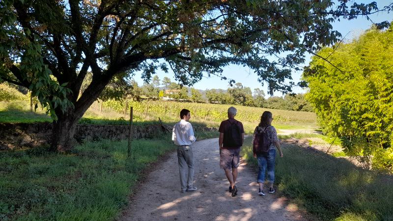 A trio enjoys a leisurely walk on a picturesque path next to a tree while exploring a winery in Portugal.