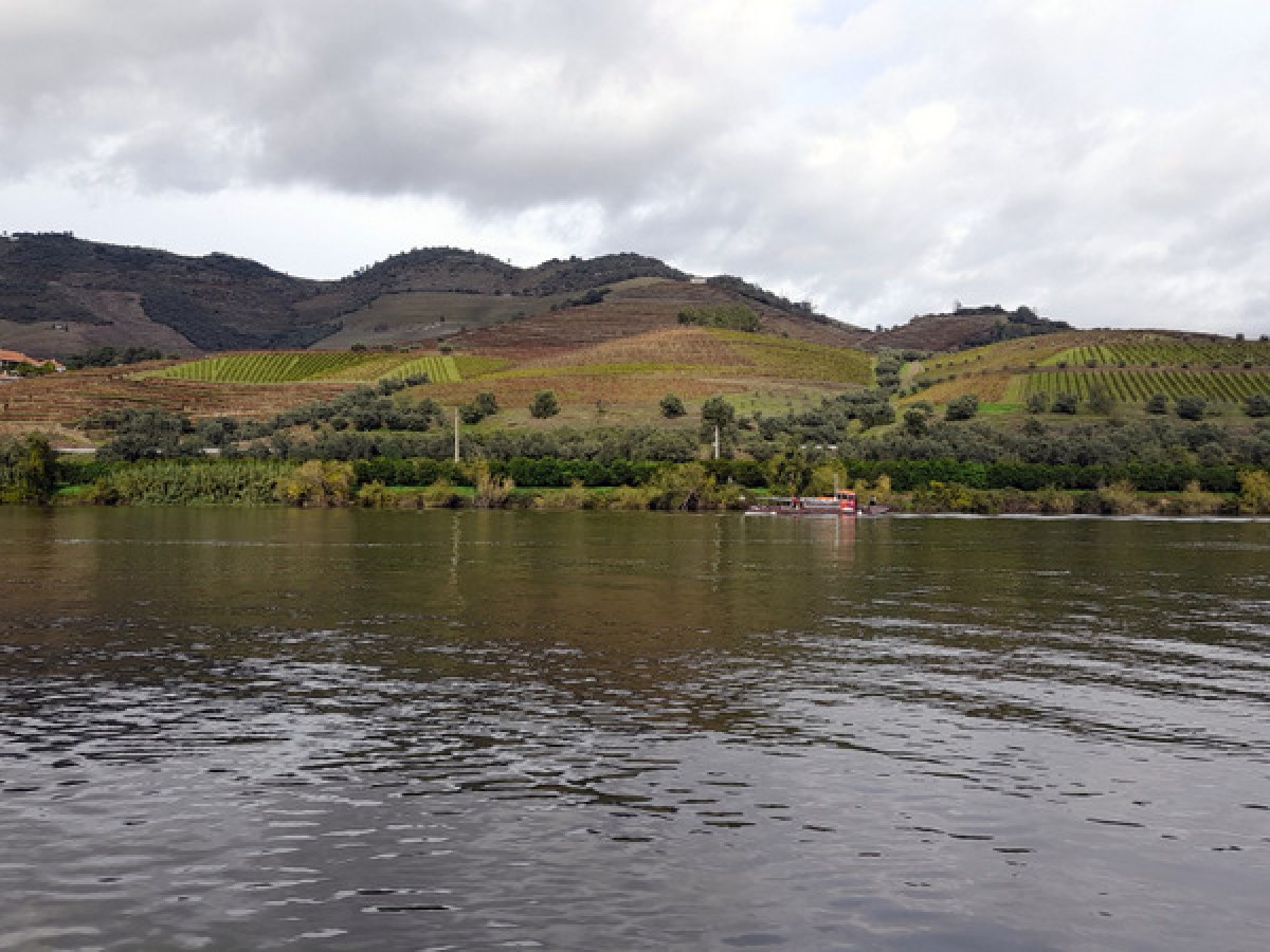 A picturesque boat glides through the Douro River, with towering mountains rising majestically in the background.