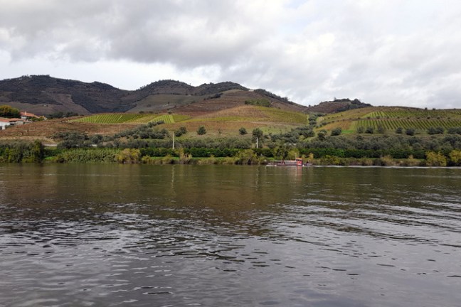 A picturesque boat glides through the Douro River, with towering mountains rising majestically in the background.