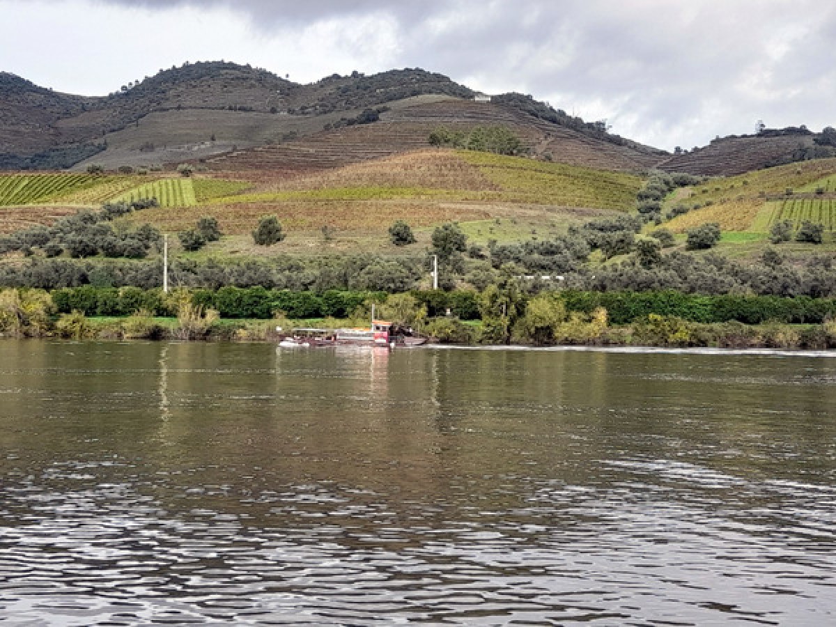 A tranquil scene of a boat on the Douro River, surrounded by stunning mountains, showcasing the landscape's charm.