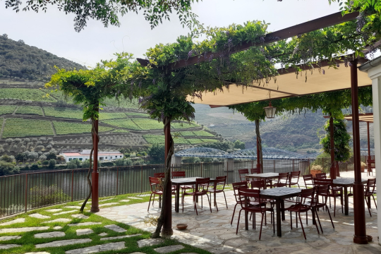 Scenic bar with valley views, ideal for enjoying a Douro tour in a small group from Braga.